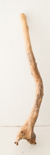 Vends didgeridoo sandwich #Mi